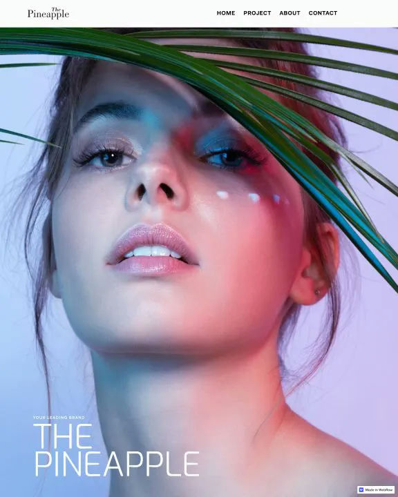 The Pineapple