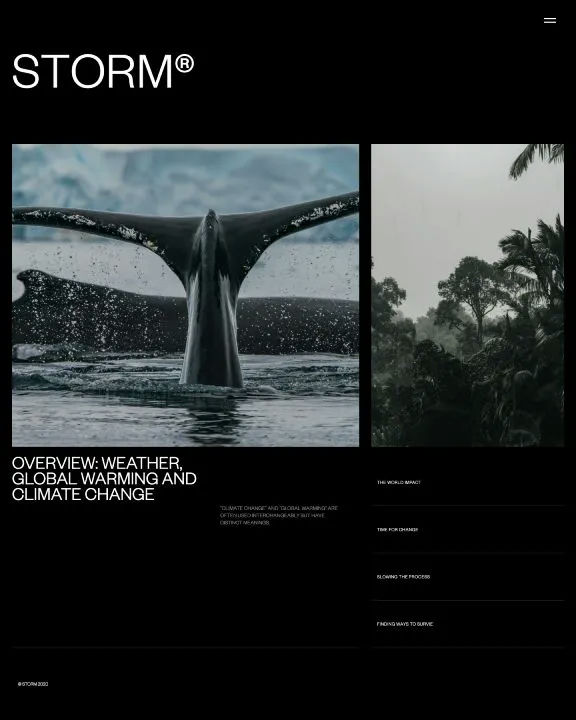 Storm