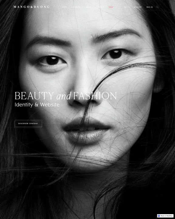 Fashion Identity Blog Webflow Template