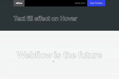 Text Fill Hover Effect