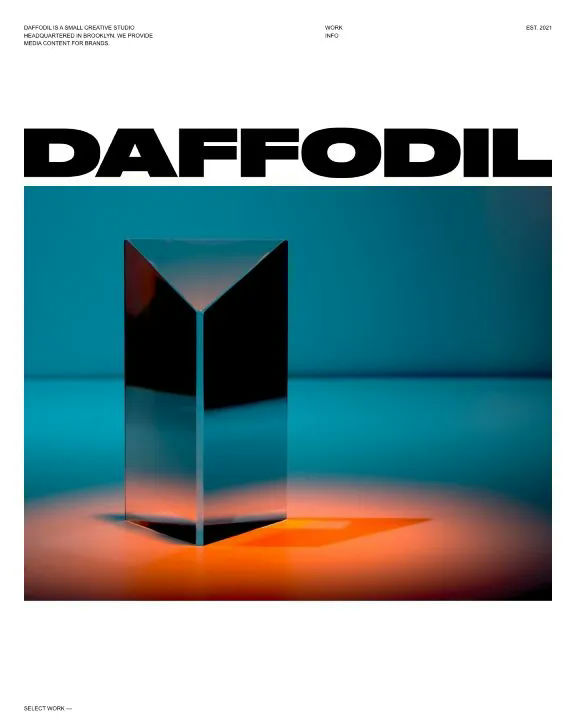 Daffodil