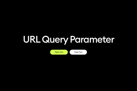 URL Query Parameter
