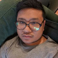 Nelson Abalos Jr